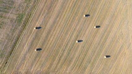 Ipsheim, Germany / Bavaria - August 18, 2020: Dried straw hay barrel rolls for animal feed lay in a freshly cut field with tractor tracks and textures. View from above. Background. © Thomas
