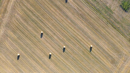 Ipsheim, Germany / Bavaria - August 18, 2020: Dried straw hay barrel rolls for animal feed lay in a freshly cut field with tractor tracks and textures. View from above. Background. - obrazy, fototapety, plakaty
