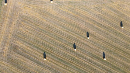 Ipsheim, Germany / Bavaria - August 18, 2020: Dried straw hay barrel rolls for animal feed lay in a freshly cut field with tractor tracks and textures. View from above. Background. © Thomas