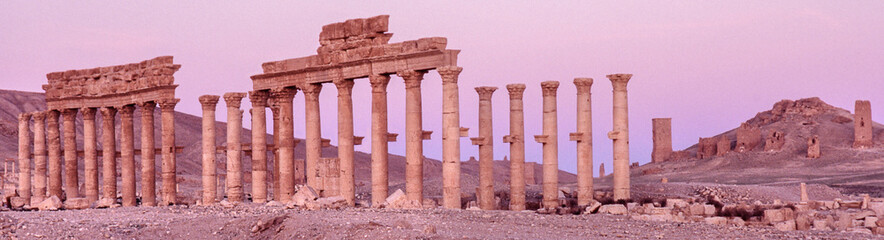 Fototapeta premium Palmyra ruins