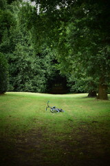 the lonely bicycle in the park