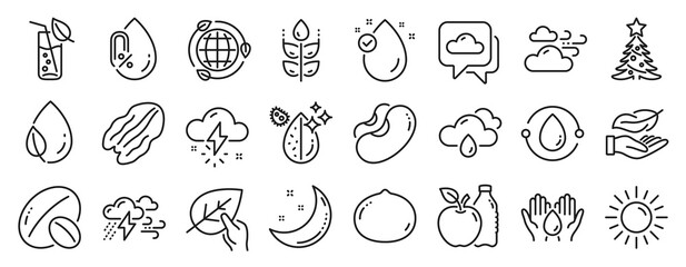 Set of Nature icons, such as No alcohol, Water glass, Eco energy icons. Pecan nut, Safe water, Weather forecast signs. Soy nut, Windy weather, Cold-pressed oil. Lightweight, Beans, Sun. Vector