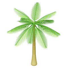 Summer Coconut Tree 3D Rendering Illustration