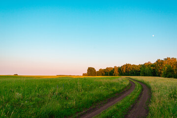 Fototapeta na wymiar The road through the field along the edge of the forest at sunset.