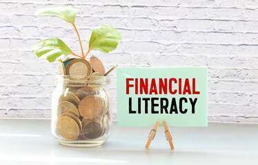Financial education text concept isolated over white background