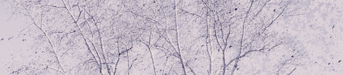 abstract pale violet color background for design