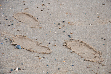 Footsteps imprinted onto sandy beach.