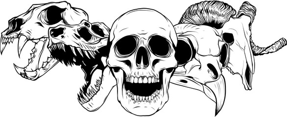 vector illustratio of animal skull art design