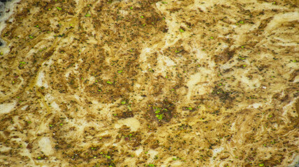 Background of dirty foam on top of water