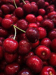 Freshly picked British Columbia cherries.