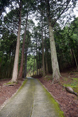 古知谷阿弥陀寺　参道　京都市左京区大原