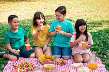 child picnic in the park