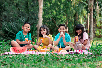 child picnic in the park