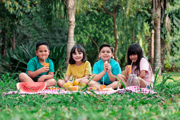 child picnic in the park