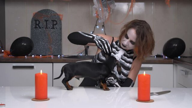 Young sullen woman with scary makeup in skeleton costume examines dachshund puppy on table, apartment is decorated for Halloween party. Creepy bloodthirsty monster wants to eat dog.