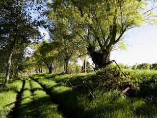 nature view green farm 