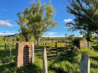 nature view green farm 