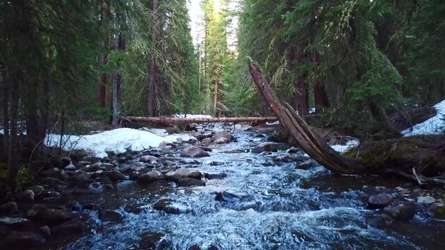 A small peaceful creek in the mountains of Colorado drone footage