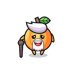 cute apricot grandpa is holding a stick