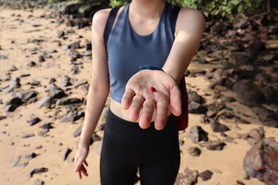 Angsana Seed found in nature singapore beach sentosa waters sea travel