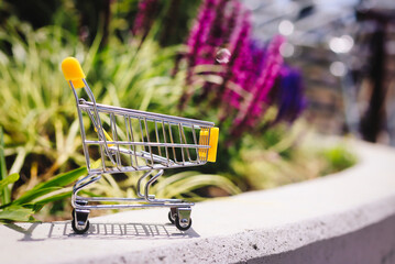 ショッピングカートと自然背景