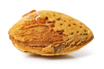 apricot kernel isolated on white background