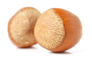 Hazelnuts on a white background