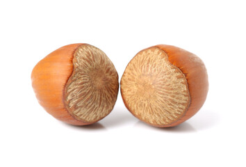 Hazelnuts on a white background