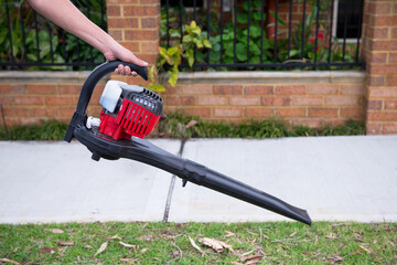 Leaf blower