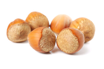 Hazelnuts on a white background