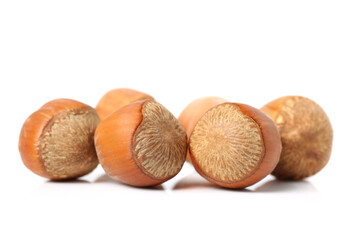 Hazelnuts on a white background