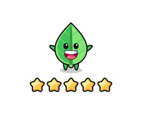 the illustration of customer best rating, leaf cute character with 5 stars