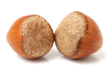 hazelnuts isolated on white background