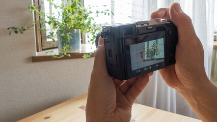 室内で植物を撮影するカメラマン。