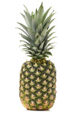 Fototapeta premium Pineapple on white background