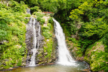 Fototapeta na wymiar 銀山温泉　白銀の滝