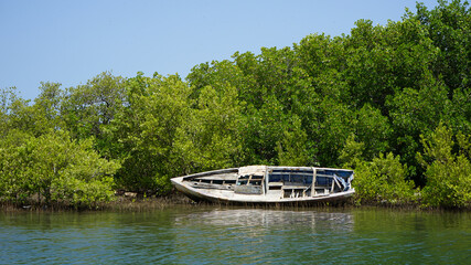 Abandoned boat, Montecristi mangroves