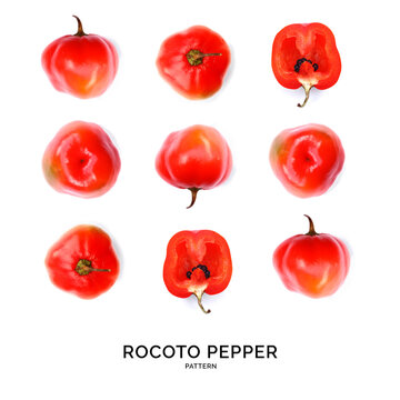 Seamless pattern rocoto pepper. Abstract background. pepper on the white background.