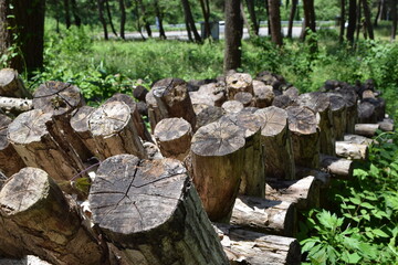 キノコの原木栽培