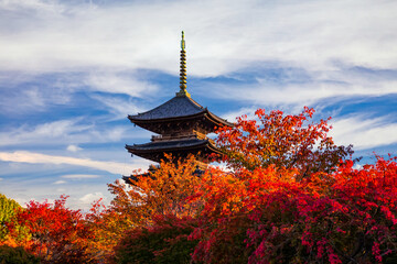 The wooden tower of To-ji Temple in Kyoto at autumn.