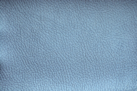 Blue leather 2024
