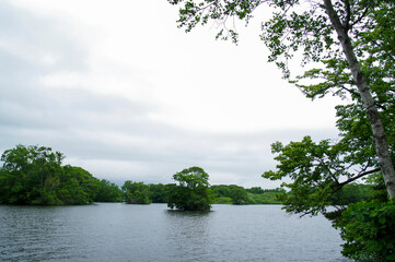 緑の小島が点在する大沼・小沼