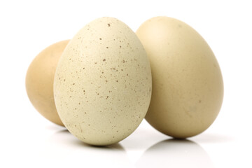eggs on a white background 