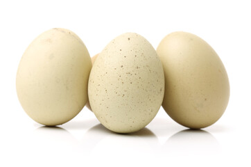 eggs on a white background 