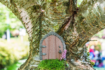 small doors made of polymer clay on cherry tree like a fairy house close up