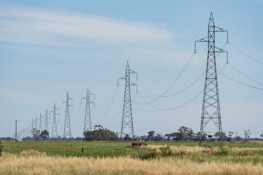 A row of electricity stanchions receding into the distance