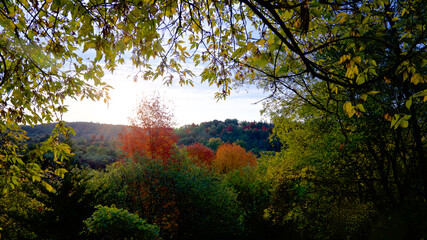 Sunrise with autumn leaf colour and lens flare in the valley