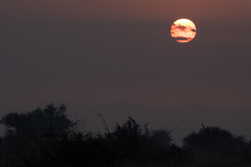 Kruger National Park: sun obscured by smoke from controlled veld burning