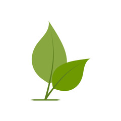 Leaf icon. Ecology nature icon. Green environment and natural symbol. Leaf logo. Ecology vector illustration. Leaf SVG icon.