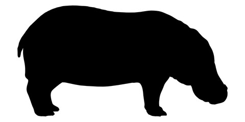 Hippopotamus silhouette isolated on white background. Side view. Vector illustration